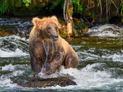 Katmai National Park and Preserve