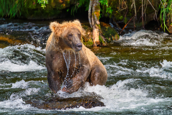 Katmai National Park and Preserve