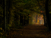 Light at the End of the Tunnel