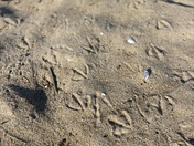 Parker River National Wildlife Refuge