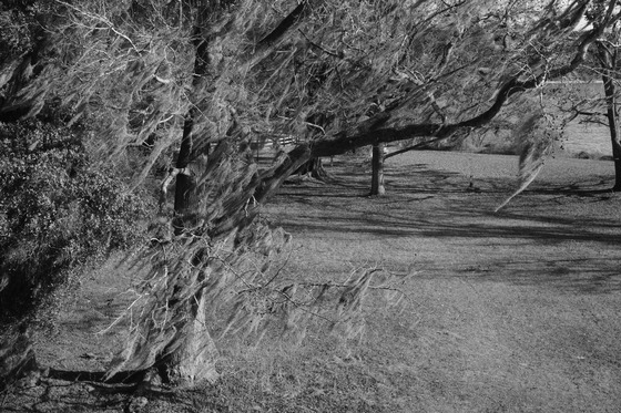 Santee Indian mound at fort watson