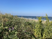 Parker River National Wildlife Refuge