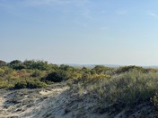 Parker River Wildlife Refuge on Plum Island