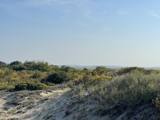 Parker River Wildlife Refuge on Plum Island
