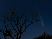 Rare Comet C/2023 A3, Tsuchinshan-ATLAS