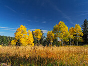 Pike-San Isabel National Forest