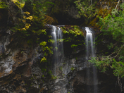 Umpqua National Forest