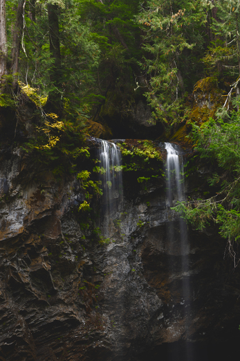 Umpqua National Forest