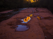 Coconino National Forest