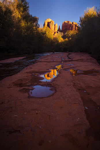 Coconino National Forest