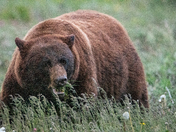 Glacier National Park