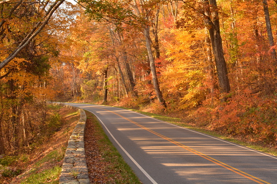 Shenandoah National Park