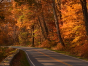 Shenandoah National Park