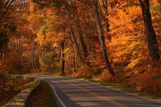 Shenandoah National Park