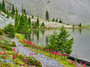 Deschutes National Forest