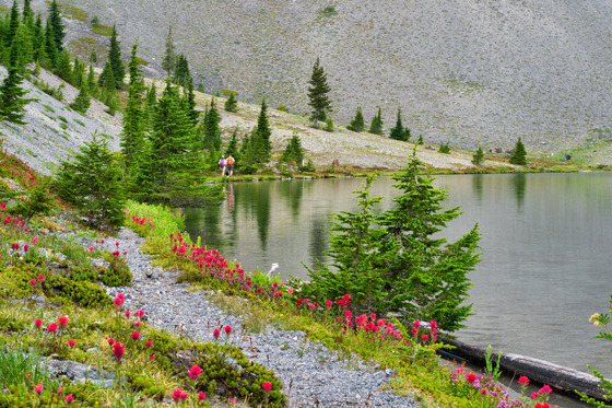 Deschutes National Forest
