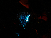 Big South Fork National Recreation Area