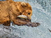 Katmai National Park and Preserve