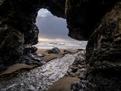 Redwood National Park