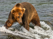 Katmai National Park and Preserve