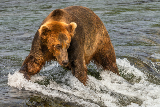 Katmai National Park and Preserve