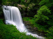Nantahala National Forest 