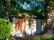 Back Lot Autumn Colors