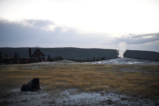 Yellowstone National Park