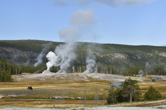 Yellowstone National Park