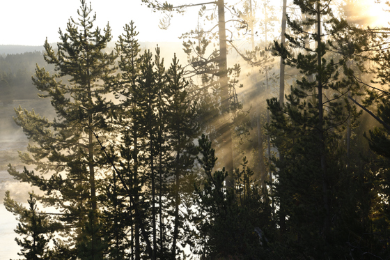 Yellowstone National Park