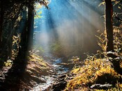 Great Smoky Mountain National Park
