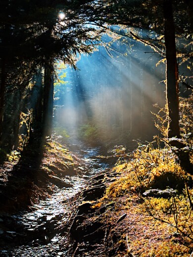 Great Smoky Mountain National Park