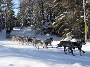 Superior National Forest