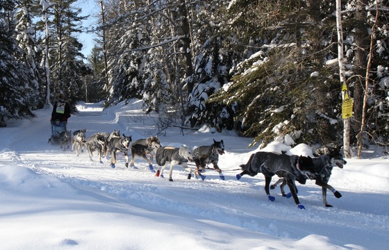Superior National Forest