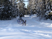 Superior National Forest
