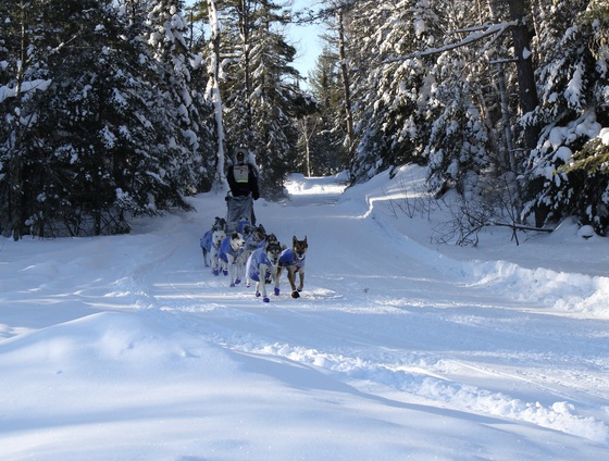 Superior National Forest