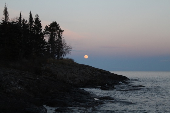 Superior National Forest
