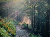 Great Smoky Mountains National Park