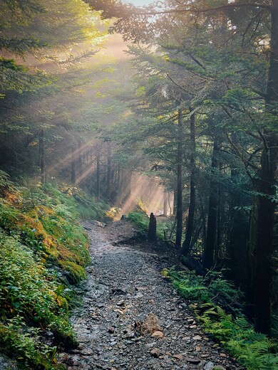 Great Smoky Mountains National Park