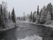 Superior National Forest