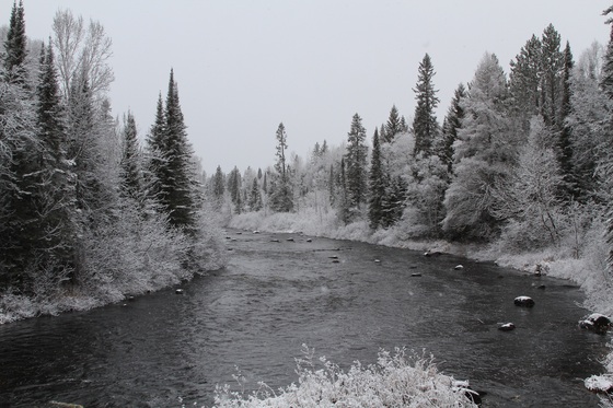 Superior National Forest