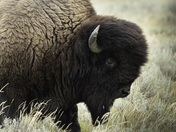 Passing with a glance