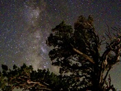 Snowshoe Thompson Historical Monument