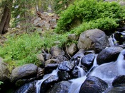 El Dorado National Forest
