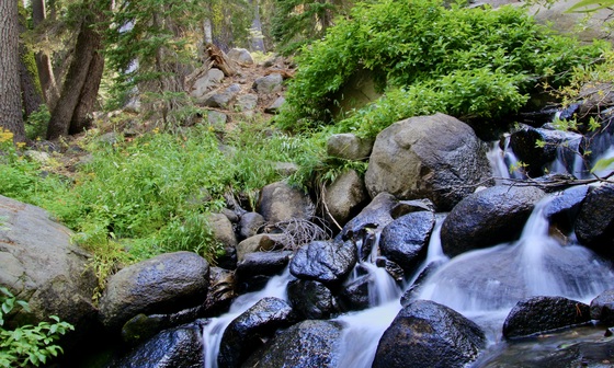 El Dorado National Forest