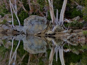 Eldorado National Forest