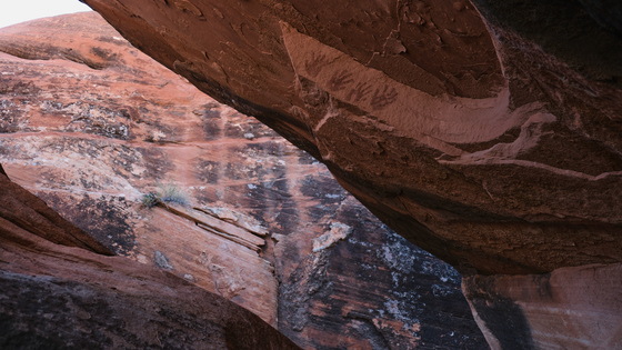 Bears Ears National Monument, South Fork Mule Canyon