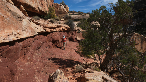 Natural Bridges Nation Monument, UT