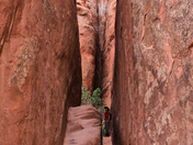 Arches National Park