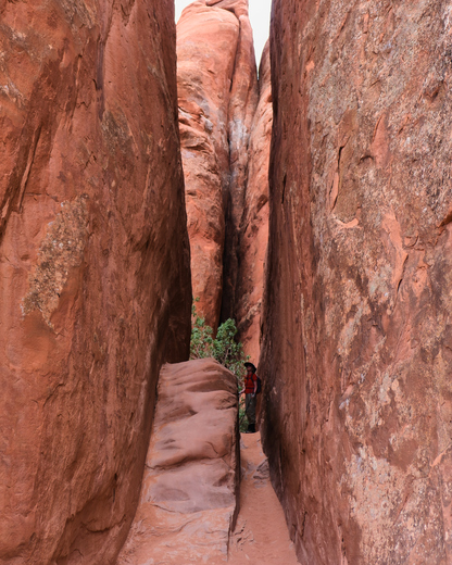 Arches National Park